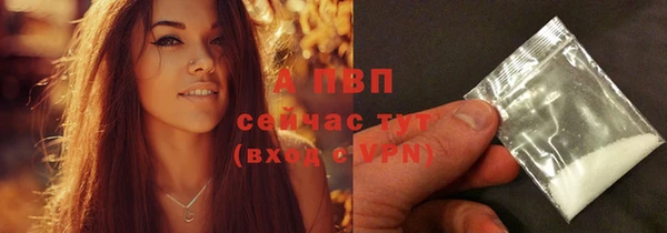 трава Гусиноозёрск
