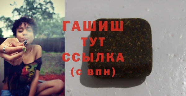 гидропоника Горняк