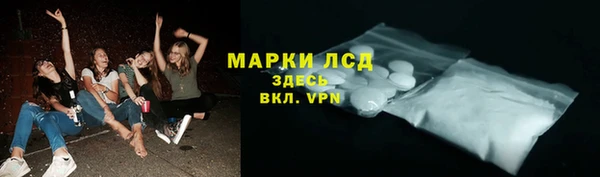 трава Гусиноозёрск