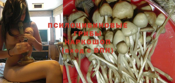 меф Гусев