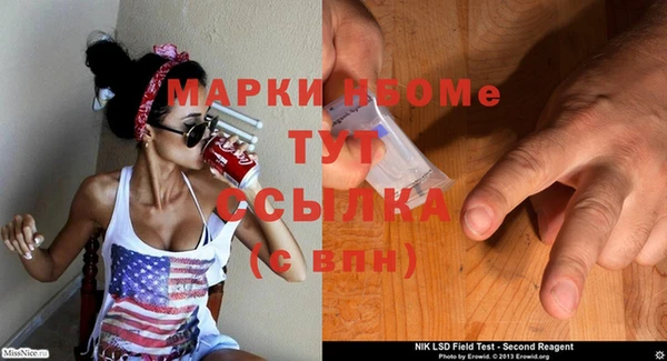 трава Гусиноозёрск