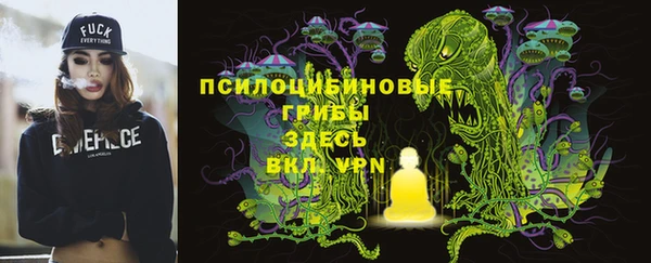 гидропоника Горняк