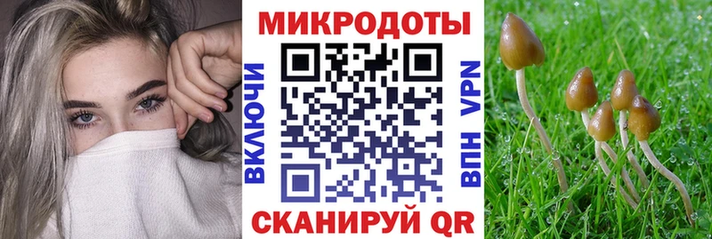 Галлюциногенные грибы Psilocybine cubensis  Купить где  Кандалакша 