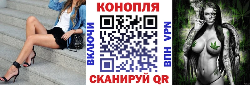 Купить  Кандалакша  Канабис семена 